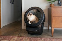 a cat sitting in a litter box in a room