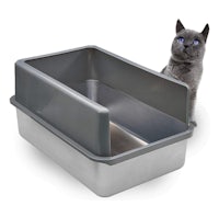 a grey cat is sitting in a litter box